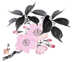 cherry blossom logo